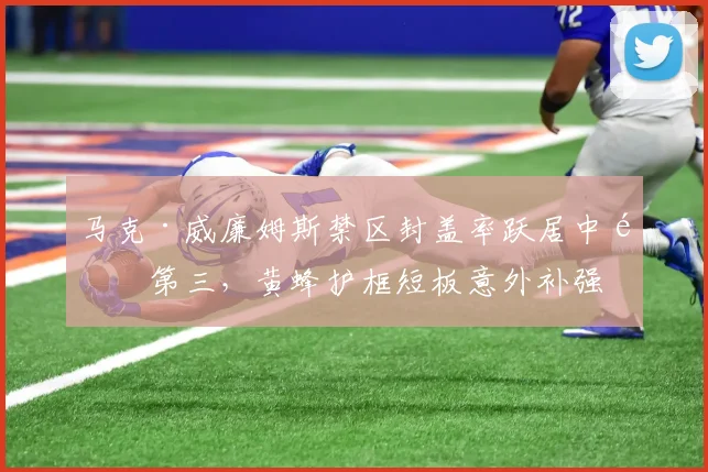 马克·威廉姆斯禁区封盖率跃居中锋第三,黄蜂护框短板意外补强